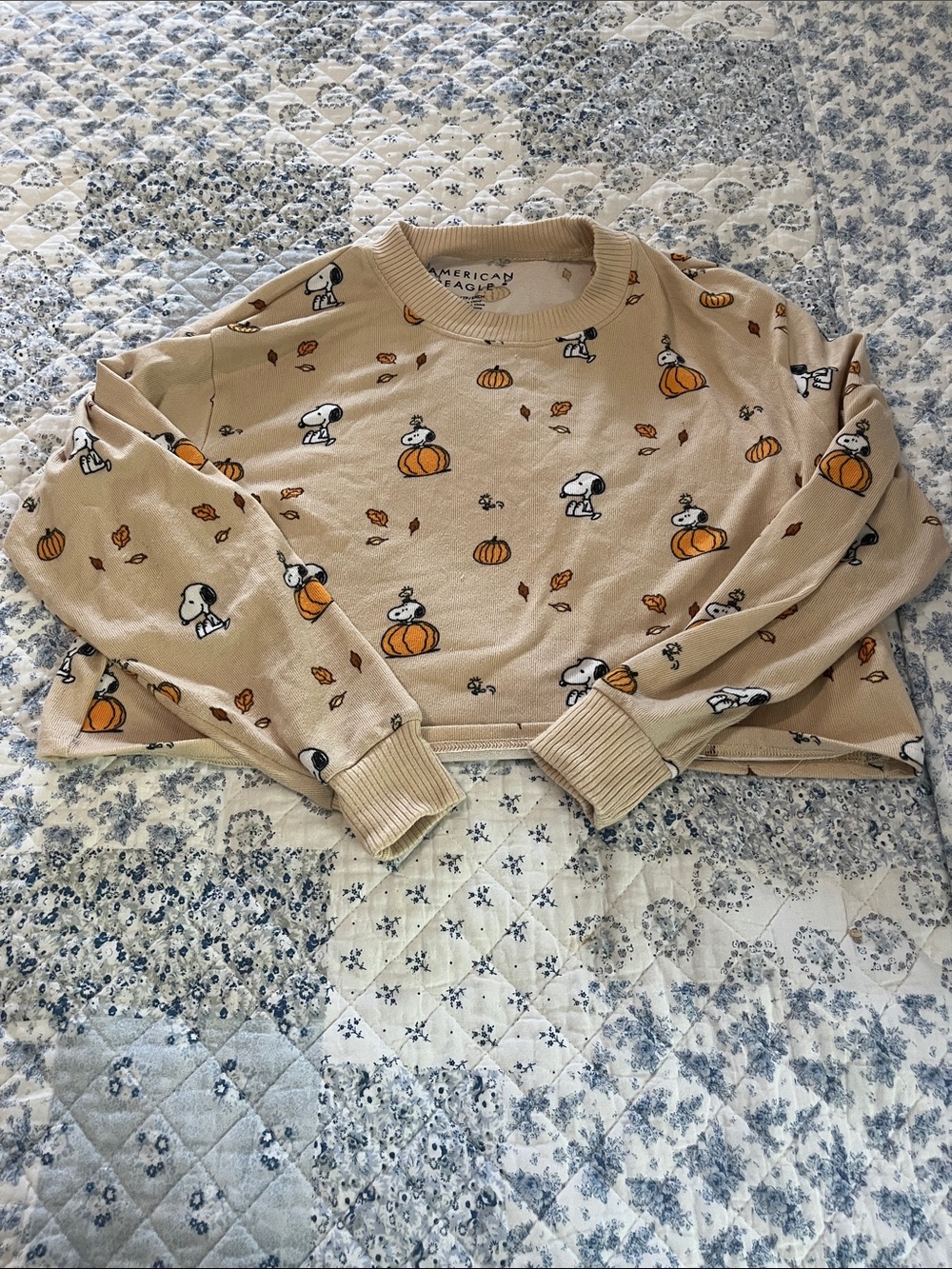 American Eagle Outfitters Beige Snoopy Pumpkin Pajama Set - Picture 3 of 4